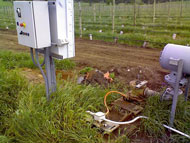 Irrigation